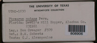 Image Associated With the Occurence